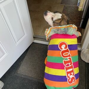 Colorful Dog Costume - Faux Tootsie Roll